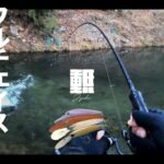 管理釣り場でミノーだけ、エリアミノーイング聖地にて大型トラウトを攻略【Eng Subs】 #エリアトラウト #管理釣り場 #日本イワナセンター