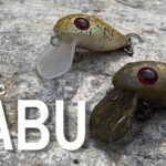【エリアトラウト】GABU真夏でも釣れる？！【奥多摩フィッシングセンター】