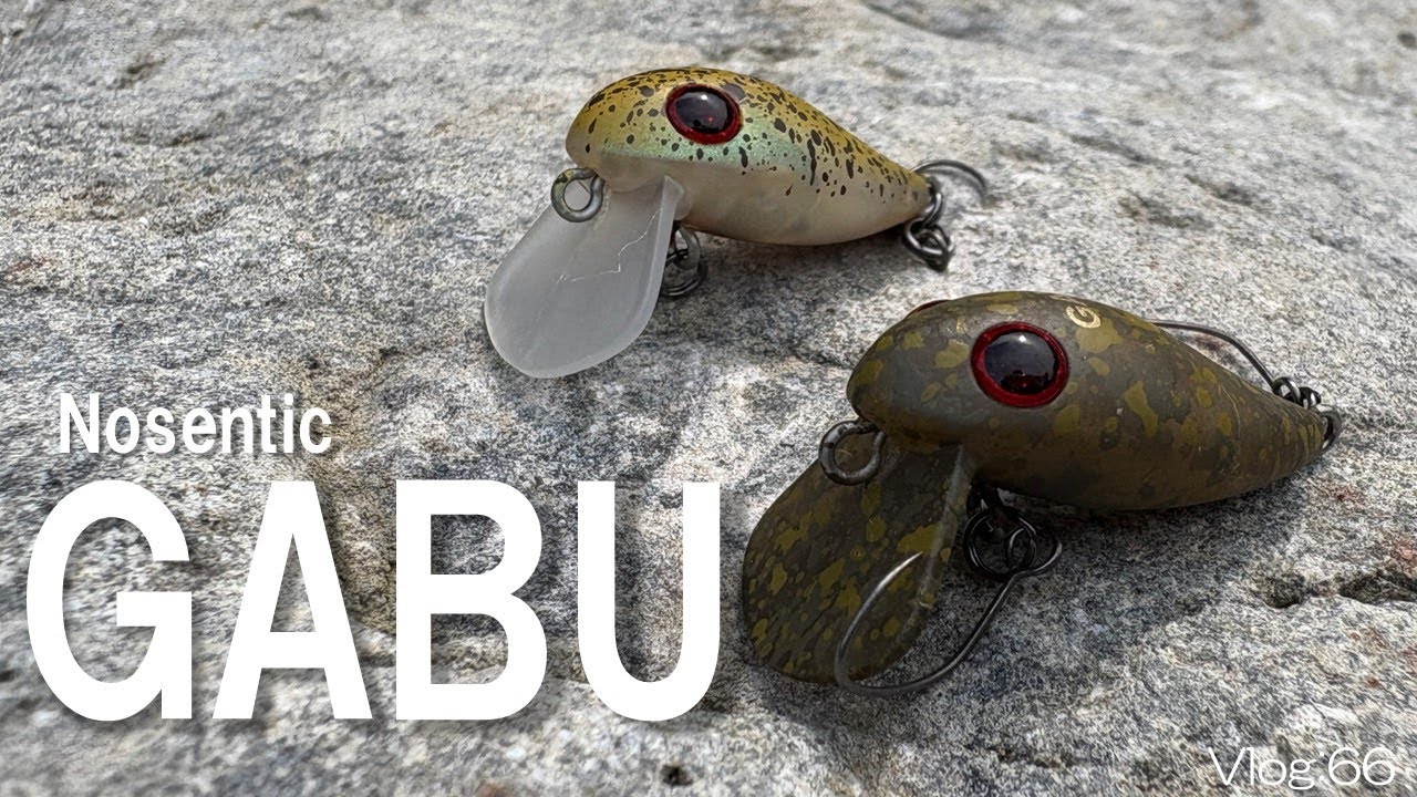 【エリアトラウト】GABU真夏でも釣れる?!【奥多摩フィッシングセンター】