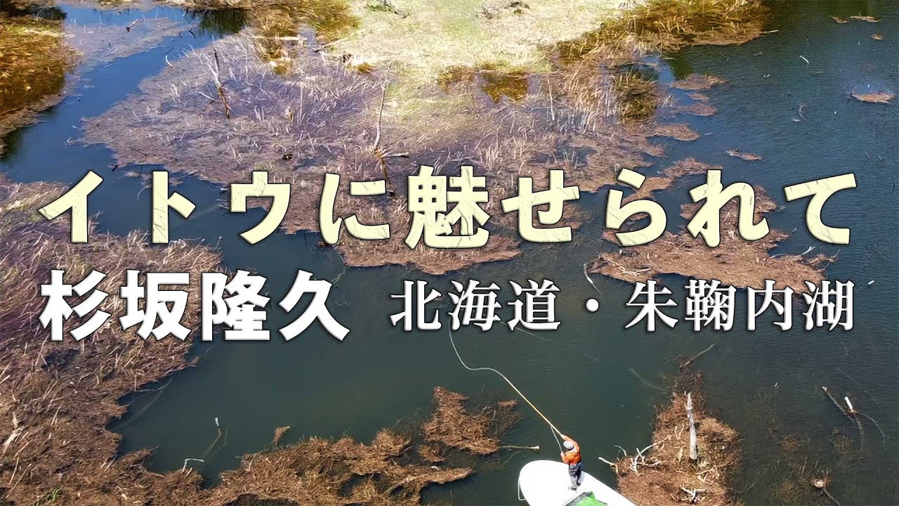 イトウに魅せられて 杉坂隆久・北海道朱鞠内湖 #GlassMaster #flyfishing #グラスロッド #朱鞠内湖 #グラスロッド