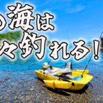 大物HITに豊富な魚種！二馬力ボートで本日も最高！