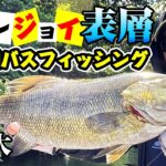 【バイトシーンまる見え】表層系ルアー・ロマンス＆オリカネムシIIで楽しむ野尻湖バスフィッシング【林晃大】