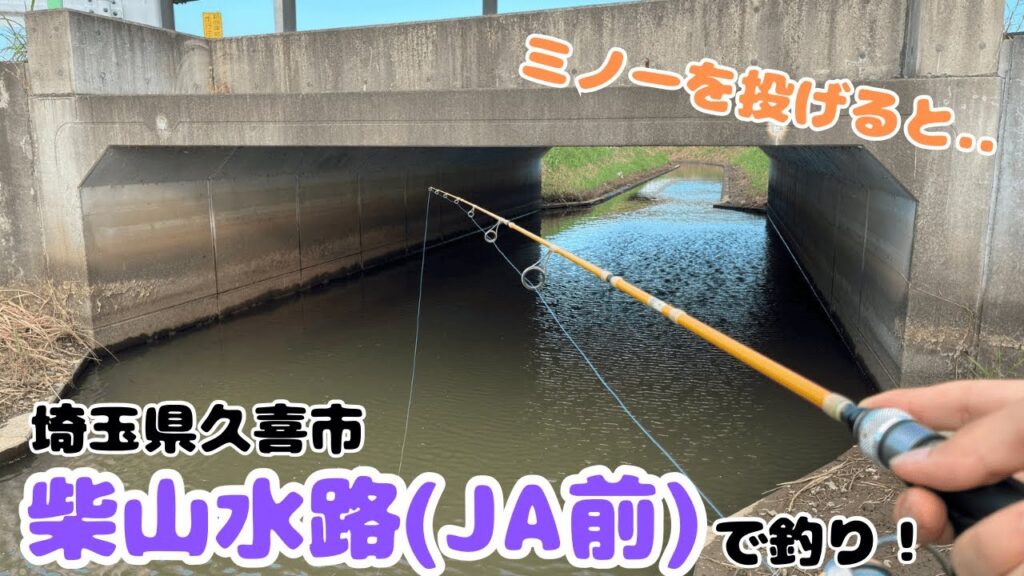 水路にミノーを投げると..柴山水路(JA前)で釣り！
