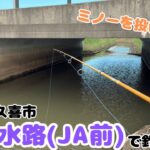水路にミノーを投げると..柴山水路(JA前)で釣り！