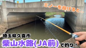 水路にミノーを投げると..柴山水路(JA前)で釣り！