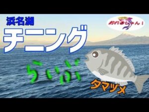 【夕マヅメの魔法】浜名湖チニング!光と影が交差する瞬間にクロダイが動く!LIVE配信