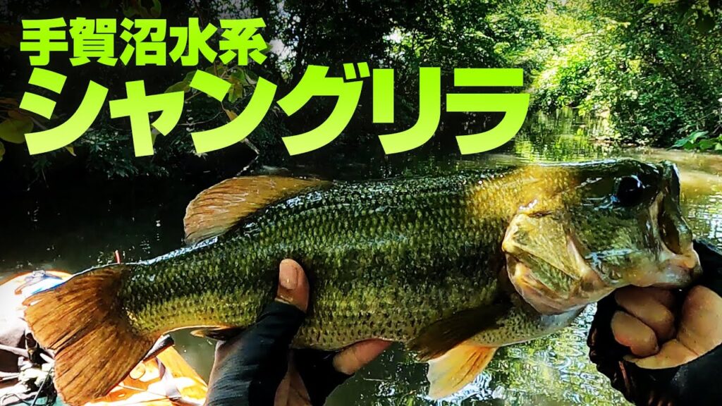 手賀沼水系シャングリラ【バス釣りSUP】