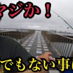 浜名湖海釣り公園のT字堤防で釣りしたら…