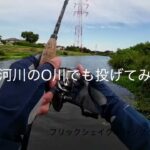 【バス釣り】数年ぶりにT沼で釣りをしてきた【関東】