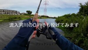 【バス釣り】数年ぶりにT沼で釣りをしてきた【関東】