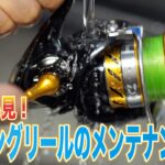 【初心者必見！】スピニングリールの洗い方とメンテナンス方法 TOKYO BAY GANGS !