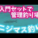 【管理釣り場】ニジマス釣り🔰入門セットで挑戦！　オフショアの経験を活かして🎣#fishingdreamhappens