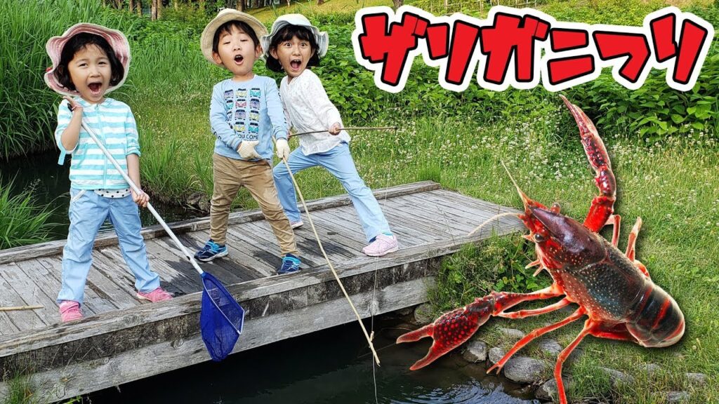 あーくんとザリガニ釣りに挑戦☆前よりもたくさん獲れるかな？？himawari-CH