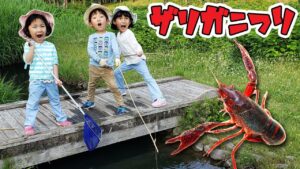 あーくんとザリガニ釣りに挑戦☆前よりもたくさん獲れるかな??himawari-CH