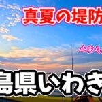 アタリ連発？アジ釣り調査！アオリイカに遭遇…真夏の堤防釣り in福島いわき