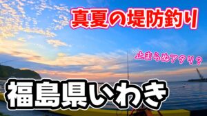 アタリ連発？アジ釣り調査！アオリイカに遭遇…真夏の堤防釣り in福島いわき