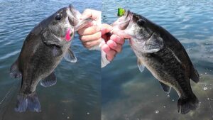 【管理釣り場】バスポンドのリニューアルオープン in  浜名湖フィッシングリゾート_2025年8月2日