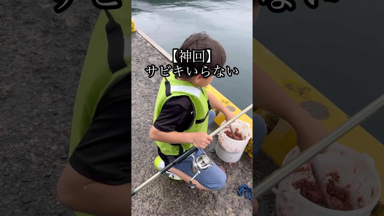 【革命】もうサビキ不要！？アジ爆釣の新釣法を小学生が証明！#shorts