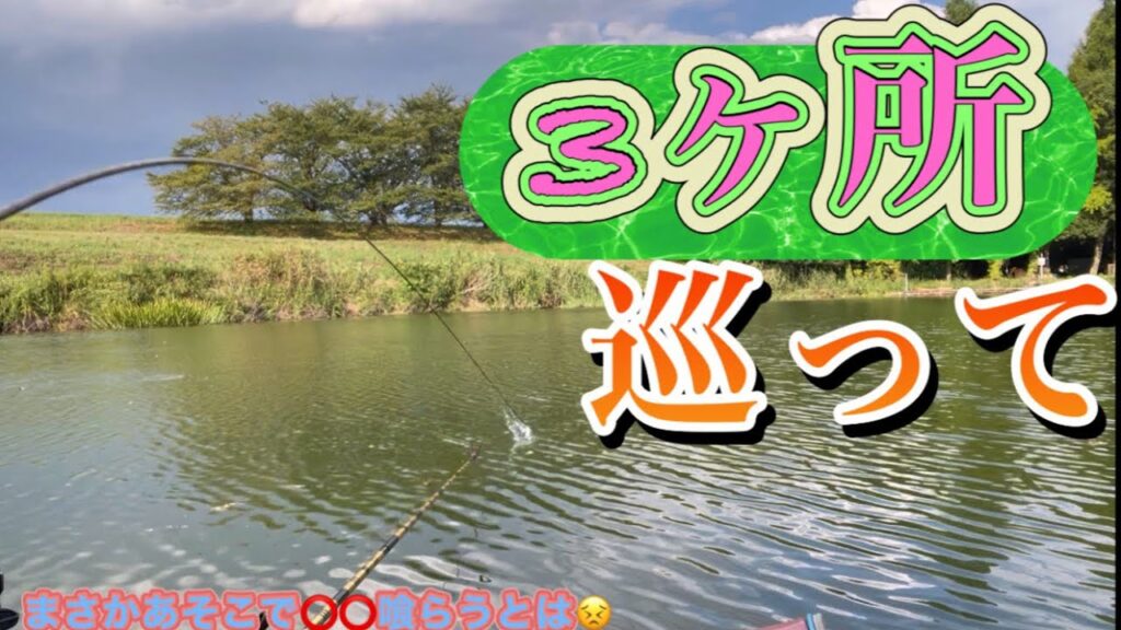 《へらぶな釣り to 切れ所沼》最初はしょうがないにしてもまさかあそこで喰らうとは思わなかった😣安牌？な場所に移動して終日デコは逃れられた😮‍💨