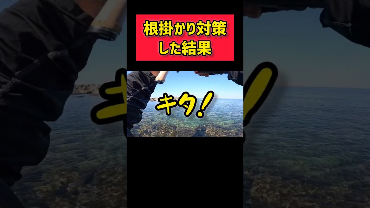 キミに届いた　#海釣り#根魚#魚釣り