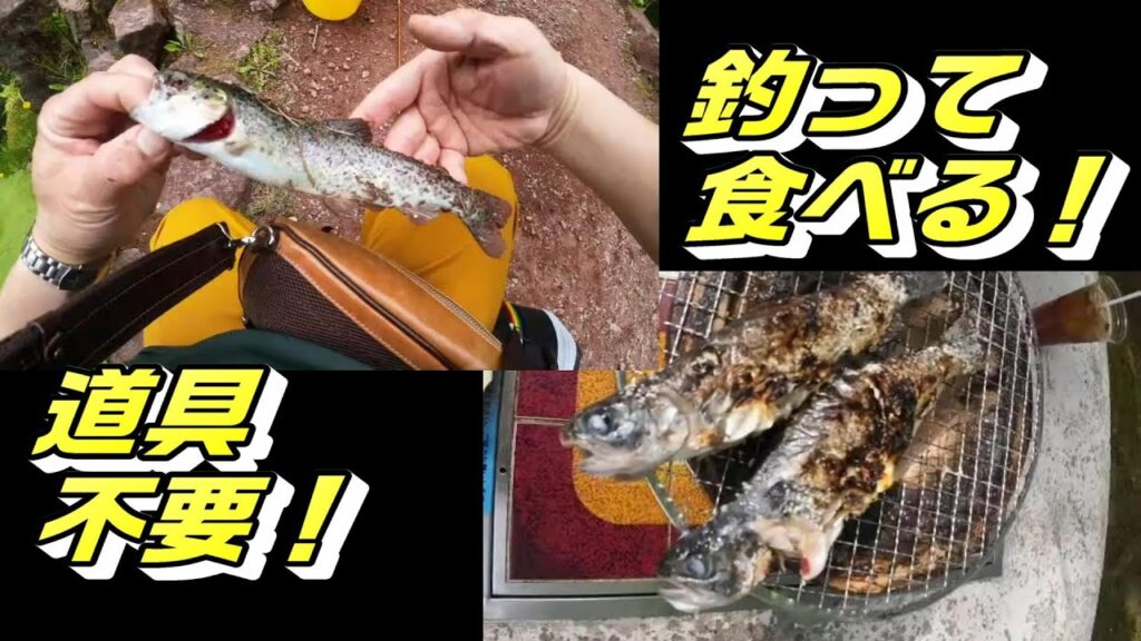 フィッシング・タキノが楽しすぎた【札幌の管理釣り場】