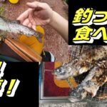 フィッシング・タキノが楽しすぎた【札幌の管理釣り場】