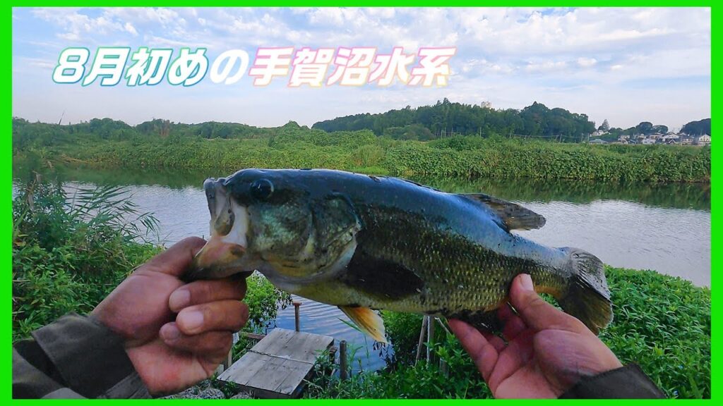 【バス釣り】台風後の朝練を手賀沼水系にて(ルーティンです)　＃手賀沼パトロール　＃レイドジャパン　＃台風後