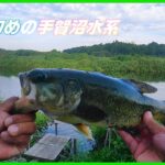 【バス釣り】台風後の朝練を手賀沼水系にて(ルーティンです)　＃手賀沼パトロール　＃レイドジャパン　＃台風後
