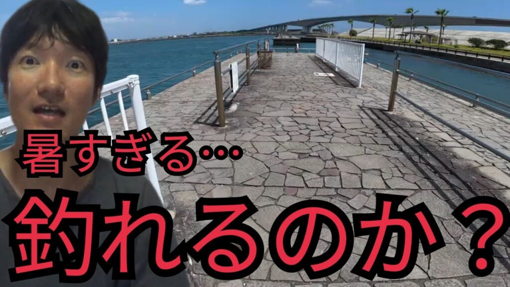 酷暑の真っ昼間に浜名湖海釣り公園へ行ってきたよ🔥