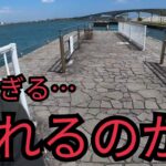 酷暑の真っ昼間に浜名湖海釣り公園へ行ってきたよ🔥