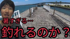 酷暑の真っ昼間に浜名湖海釣り公園へ行ってきたよ🔥