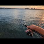 直近の浜名湖海釣り公園サビキ釣り情報📢