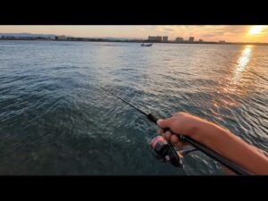 直近の浜名湖海釣り公園サビキ釣り情報📢