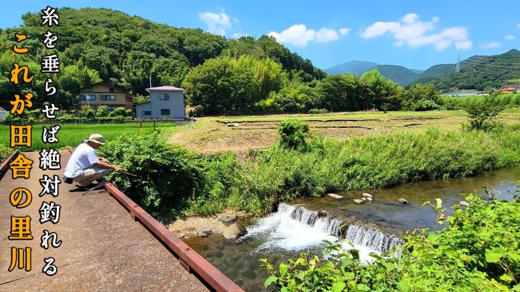 魚が『ウジャウジャ』泳ぐ田舎の里川で釣り遊び。コレが夏おすすめの川釣りです。