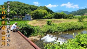 魚が『ウジャウジャ』泳ぐ田舎の里川で釣り遊び。コレが夏おすすめの川釣りです。