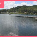 湖で夜釣り　転落した男性が死亡　ブラックバスなど釣りの人気スポット　山梨・千代田湖