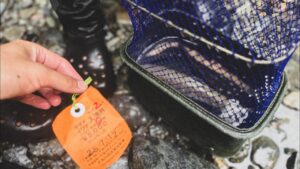 初めて管理釣り場に行った日。