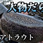 釣れるのは大物のみの管理釣り場へ【エリアトラウト】
