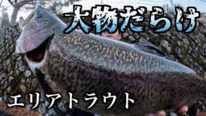 釣れるのは大物のみの管理釣り場へ【エリアトラウト】