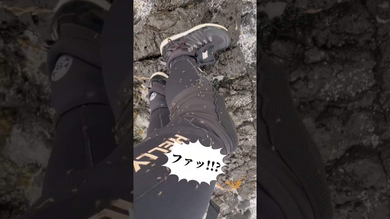 これが磯釣り…