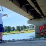 都会の川でおいしい魚を釣りまくる（ハゼ釣り）