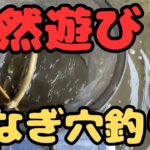 近所の川で　うなぎ穴釣り