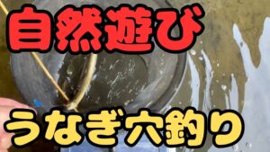 近所の川で　うなぎ穴釣り