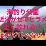 【浜名湖】新居海釣り公園 泳がせ ヒラメ サビキ サッパ ブッコミ ヒラメ好調 簡単 釣れる 釣り