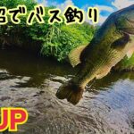 手賀沼水系亀成川でバス釣り