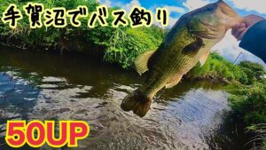 手賀沼水系亀成川でバス釣り