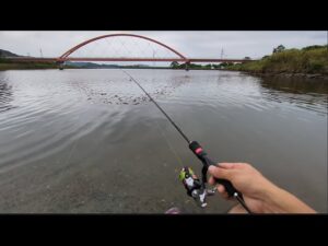 本日最速最新【奥浜名湖みをつくし橋】ハゼ釣行調査🐟