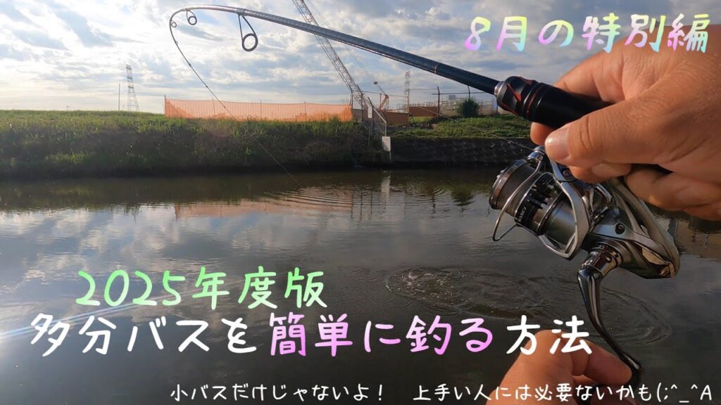 【バス釣り】【初心者用】小バス多いので一番簡単に釣れる方法です。超デカいのはいませんが、そこそこの奴も釣れちゃったりします！！