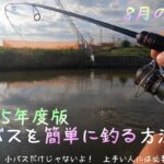 【バス釣り】【初心者用】小バス多いので一番簡単に釣れる方法です。超デカいのはいませんが、そこそこの奴も釣れちゃったりします！！