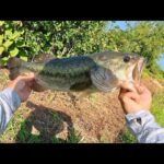 【真夏の柴山沼】キーは流れ【バス釣り】